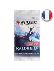 Magic Booster d'Extension Kaldheim FR MTG The gathering