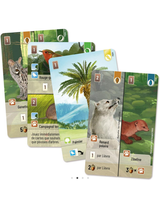 Forêt Mixte extension Exploration FR Lookout Games