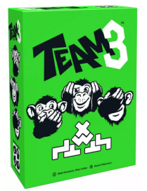 Team 3 Vert FR Brain Games