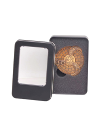 Dés Métal Spinner- Gold avec boite Metal FR Ludistri