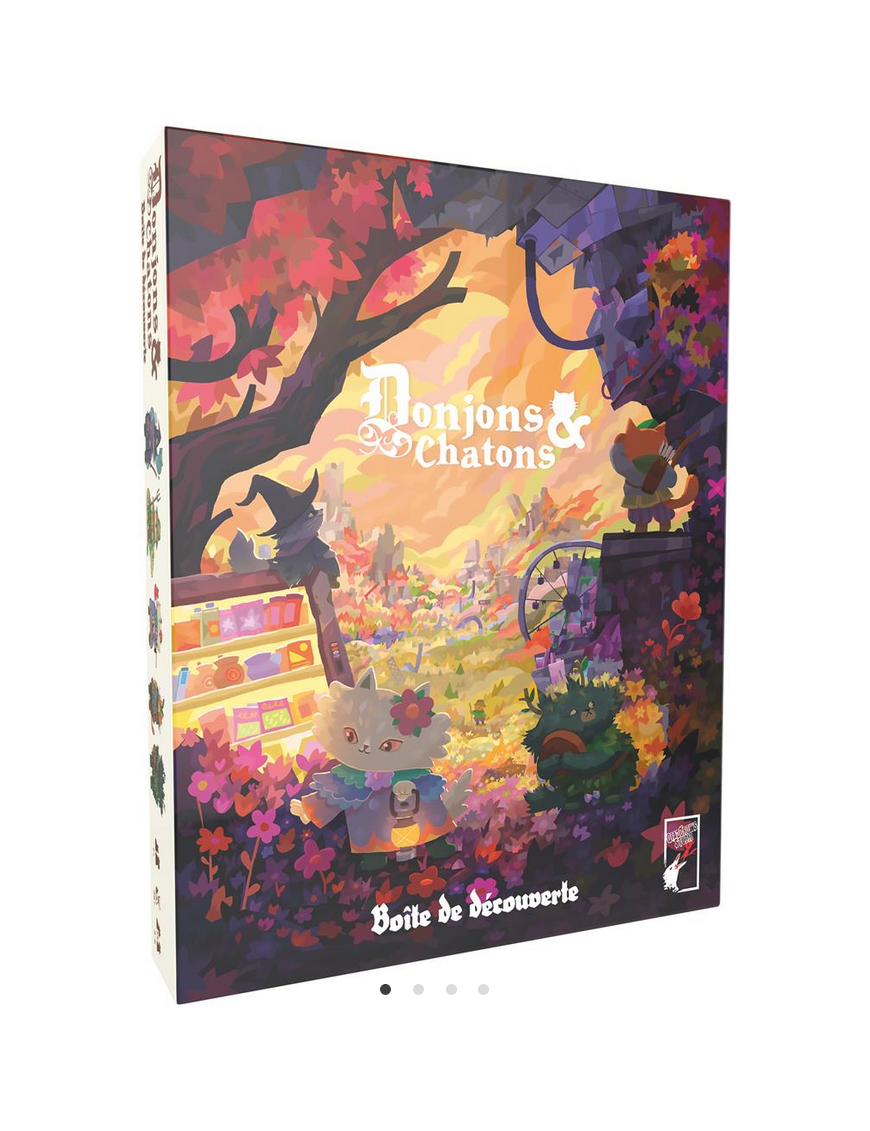 Donjons & Chatons : Boîte de découverte FR Book in Game