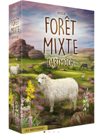 Forêt Mixte Dartmoor FR Lookout Games