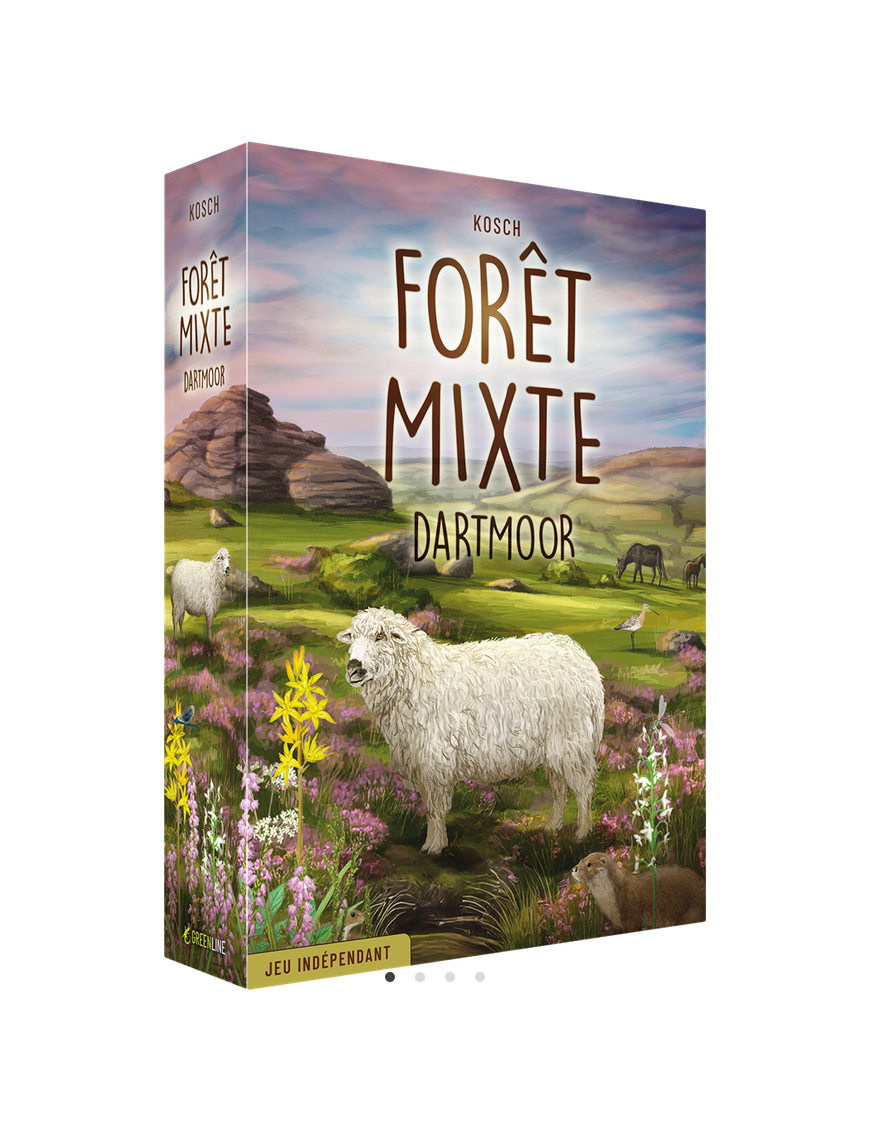 Forêt Mixte Dartmoor FR Lookout Games