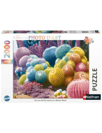 Puzzle 2000 p Arc-en-Ciel de cactus FR Nathan