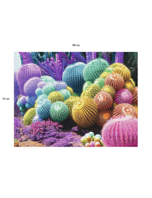 Puzzle 2000 p Arc-en-Ciel de cactus FR Nathan