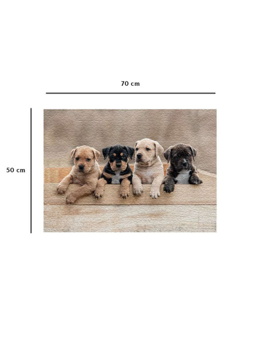 Puzzle 1000 p Les American Staffordshire Terriers FR Nathan