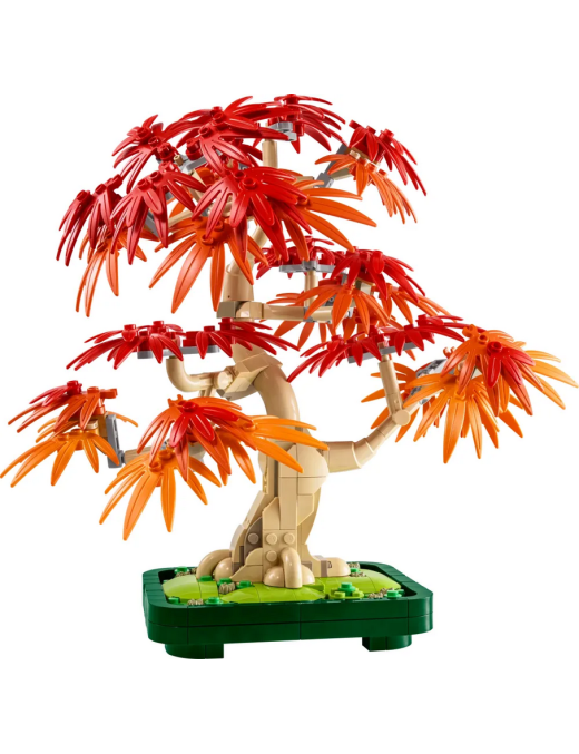 LEGO Botanicals Bonsaï dérable rouge du Japon 10348