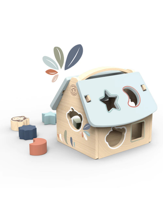 Maison des formes 9 blocs Speedy Monkey