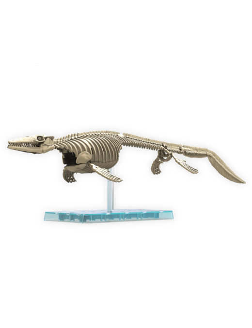 Maquette de dinosaure Plannosaurus Mosasaurus Bandai