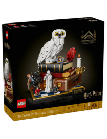 LEGO Harry Potter Lécole des sorciers  Édition collector 76466