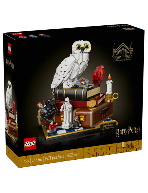 LEGO Harry Potter Lécole des sorciers  Édition collector 76466