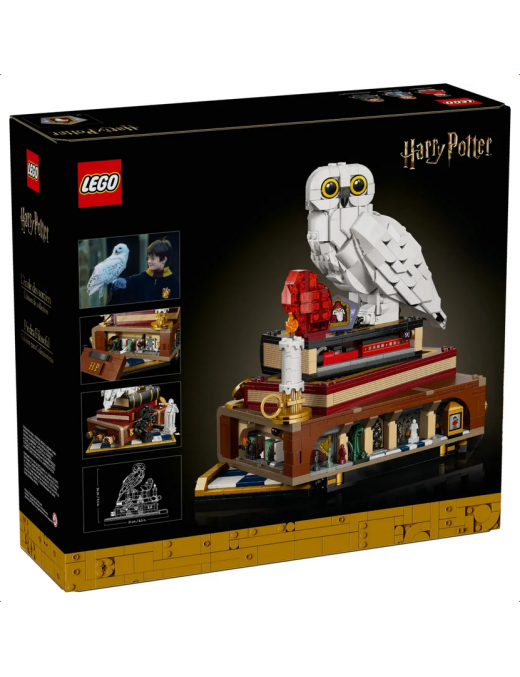 LEGO Harry Potter Lécole des sorciers  Édition collector 76466