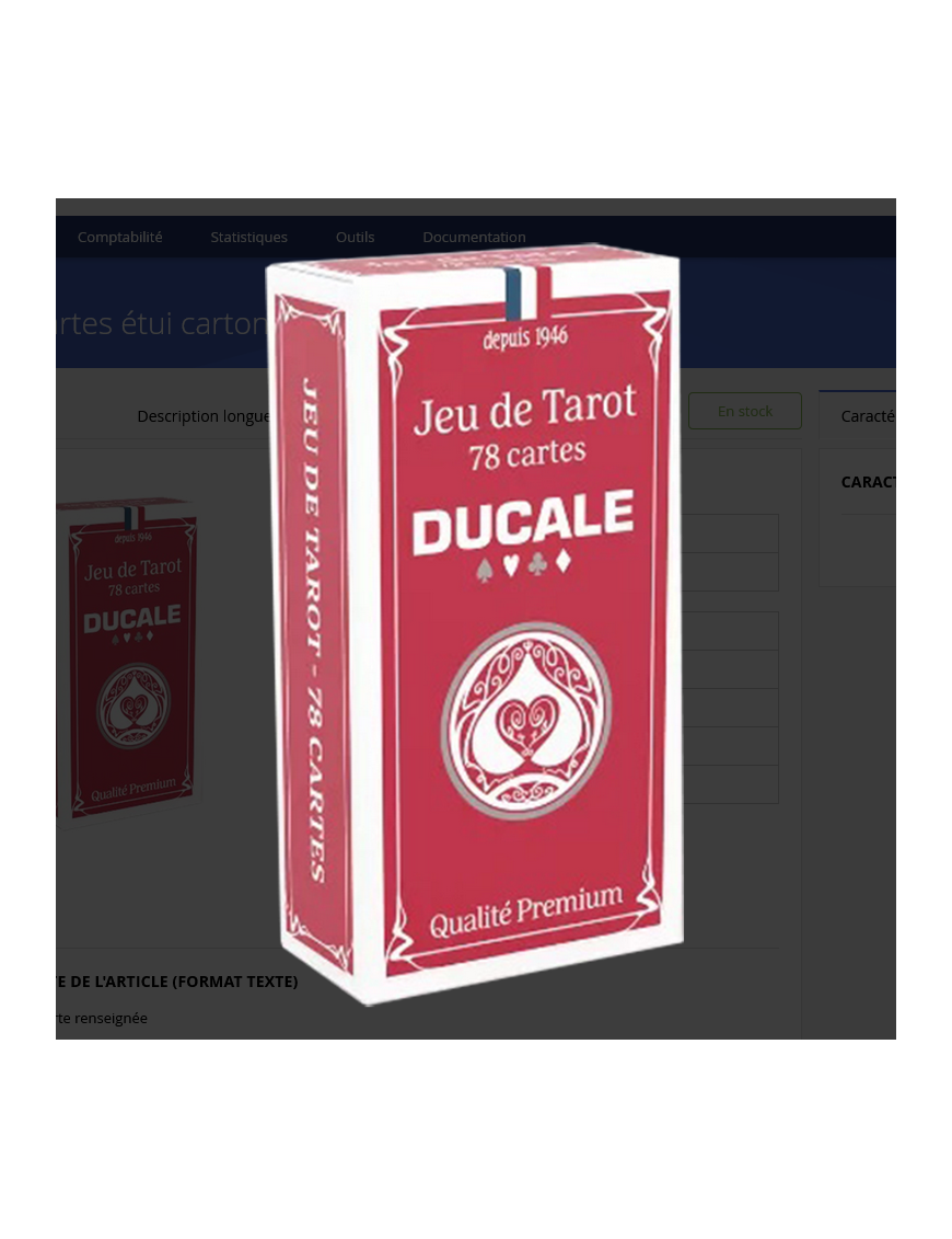 Jeux de Cartes Tarot Basic 78 cartes étui carton FR Ducale