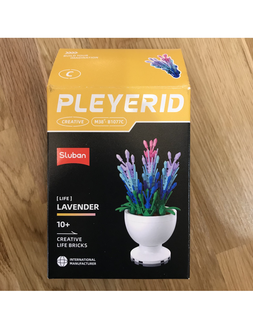 Pleyerid - Mini Plante Fleurie Modele C SLUBAN M38-B1077C
