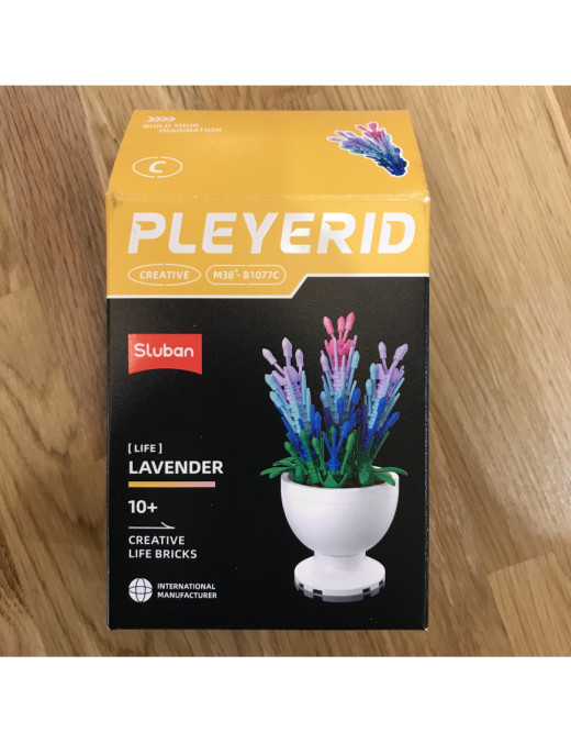 Pleyerid - Mini Plante Fleurie Modele C SLUBAN M38-B1077C