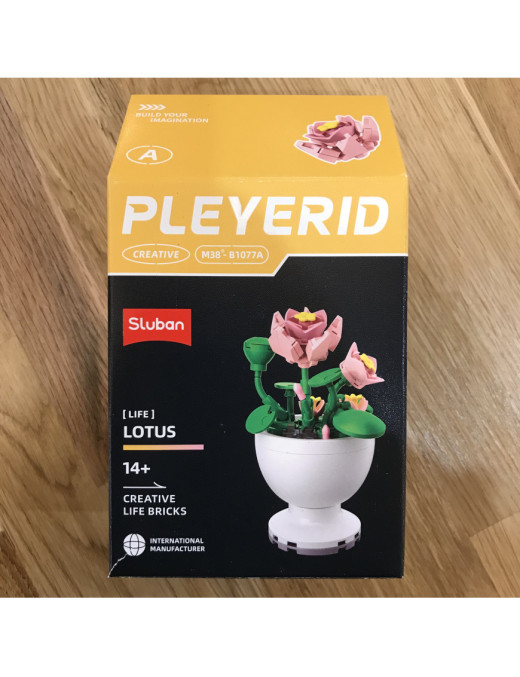 Pleyerid - Mini Plante Fleurie Modele A SLUBAN M38-B1077A