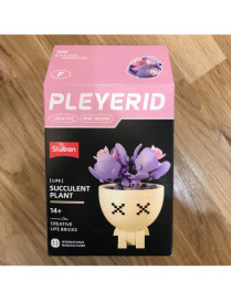 Pleyerid - Plante Grasse Modele F SLUBAN M38-B1076F