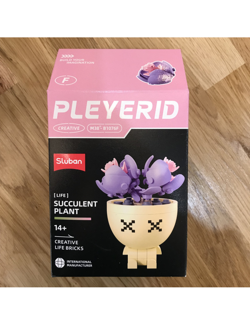 Pleyerid - Plante Grasse Modele F SLUBAN M38-B1076F