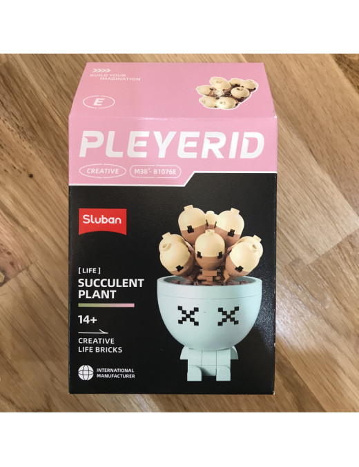 Pleyerid - Plante Grasse Modele E SLUBAN M38-B1076E