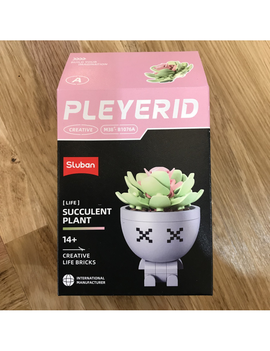 Pleyerid - Plante Grasse Modele A SLUBAN M38-B1076A