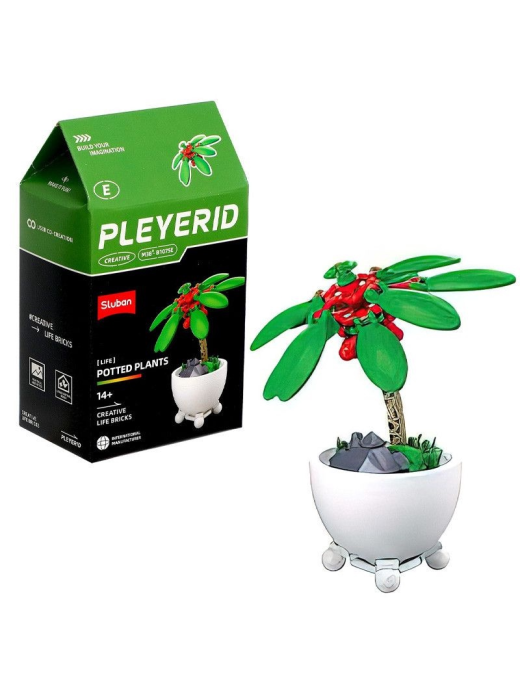 Pleyerid - Mini Bonsai Rouge et Vert SLUBAN M38-B1075E