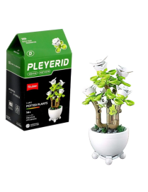 Pleyerid - Mini Bonsai Blanc SLUBAN M38-B1075D