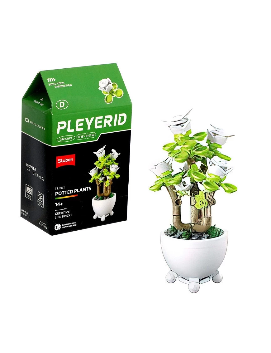 Pleyerid - Mini Bonsai Blanc SLUBAN M38-B1075D