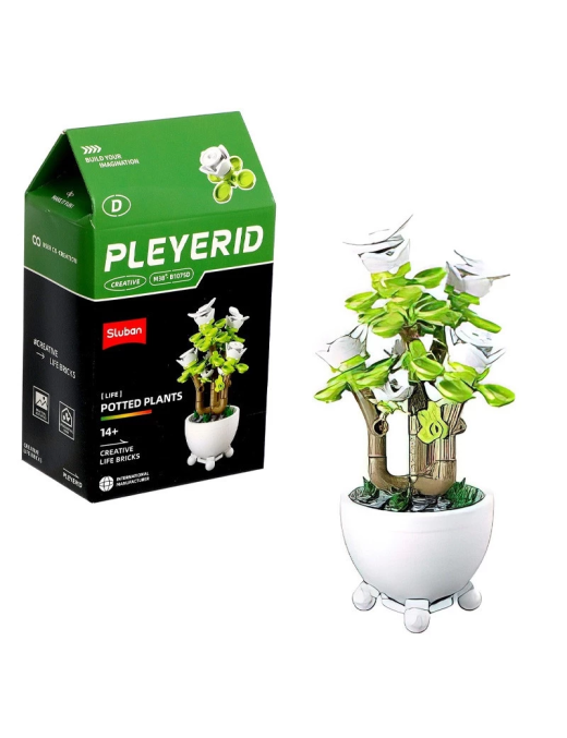 Pleyerid - Mini Bonsai Blanc SLUBAN M38-B1075D