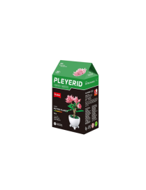 Pleyerid - Mini Bonsai Rose SLUBAN M38-B1075C