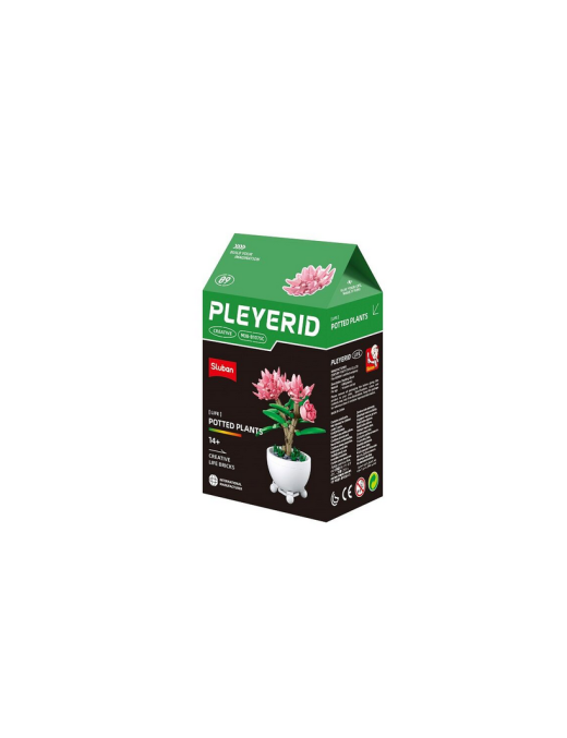 Pleyerid - Mini Bonsai Rose SLUBAN M38-B1075C