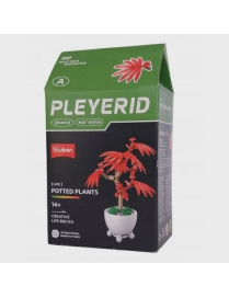 Pleyerid - Mini Bonsai Rouge SLUBAN M38-B1075A