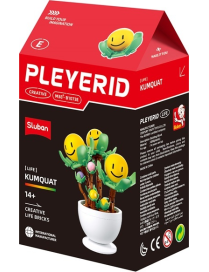 Pleyerid - Plante en pot smiley Kumquat SLUBAN M38-B1073E