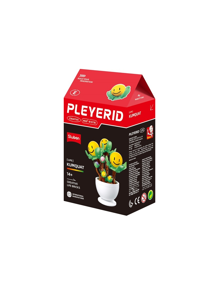 Pleyerid - Plante en pot smiley Kumquat SLUBAN M38-B1073E