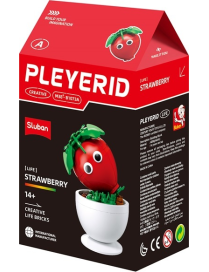 Pleyerid - Plante en pot smiley Fraise SLUBAN M38-B1073A