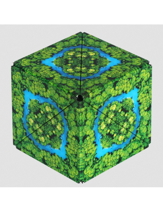 Shashibo Jungle FR Fun In Motion Toys