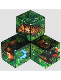 Shashibo Jungle FR Fun In Motion Toys