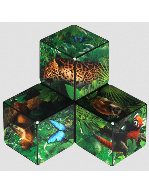 Shashibo Jungle FR Fun In Motion Toys